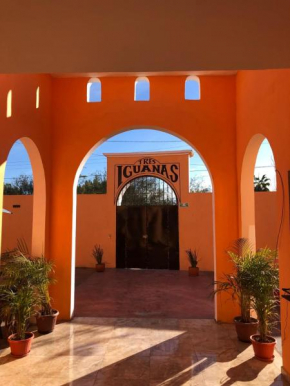 Tres Iguanas Apart Hotel - New, cozy & spacious flats, short walk to beach